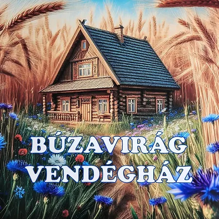 Buzavirag Vendeghaz *